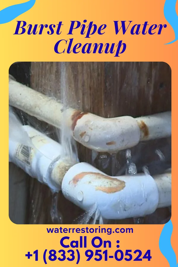 Burst Pipe Water Cleanup in West End, NY
