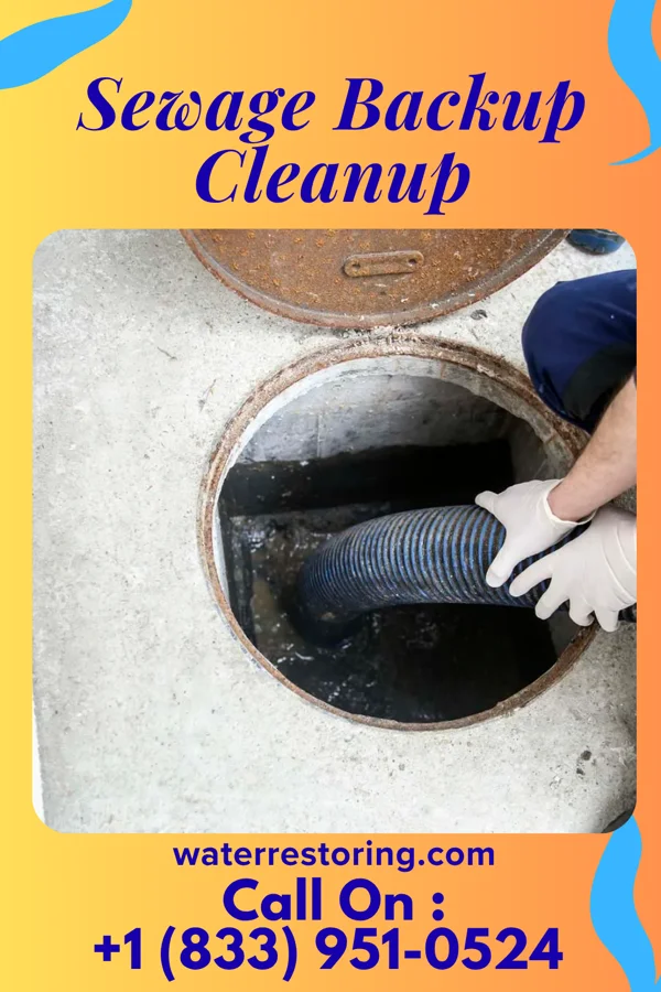 Sewage Backup Cleanup in West End, NY